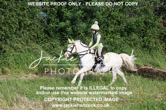 JHP20819