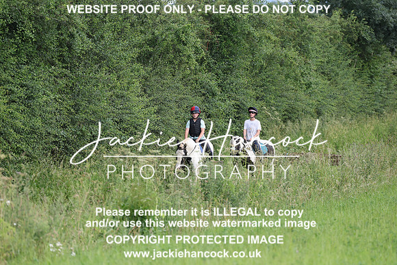 JHP20394