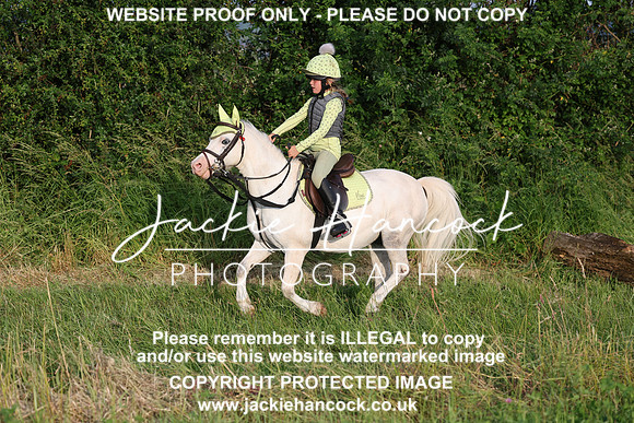 JHP21365