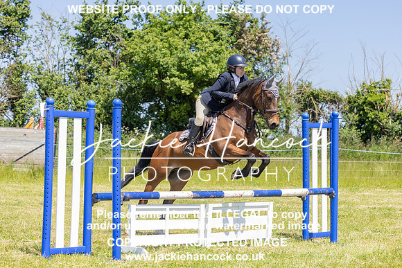 JHP20276