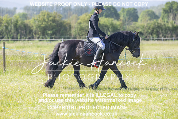 JHP20003