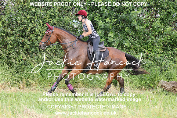 JHP20371