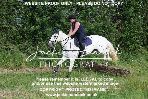 JHP21098
