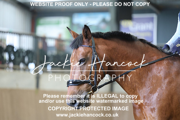 JHP21920