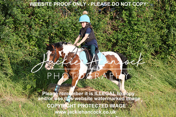 JHP21339