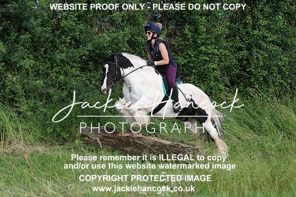 JHP21084