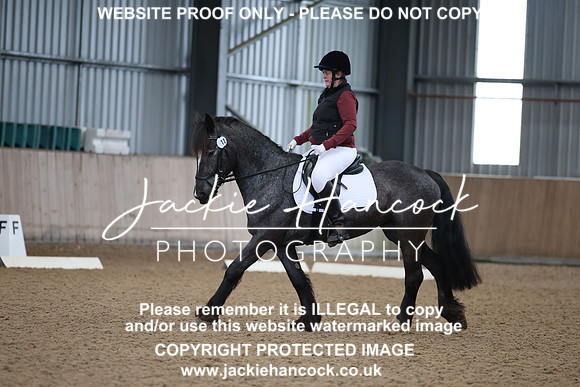JHP20066