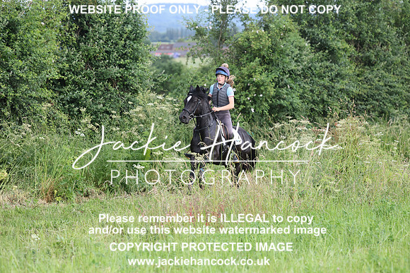JHP20631