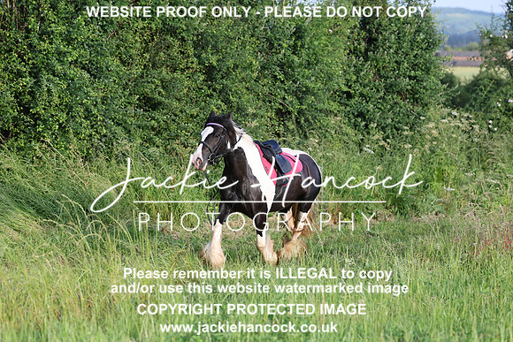 JHP21352