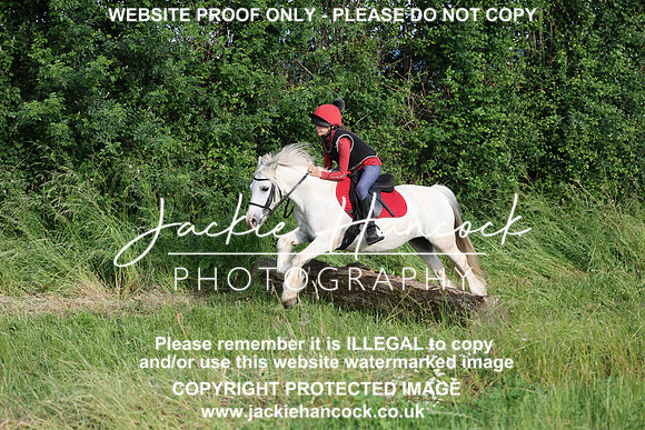JHP20806