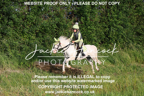 JHP21362