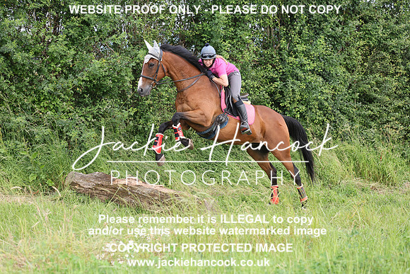 JHP20380