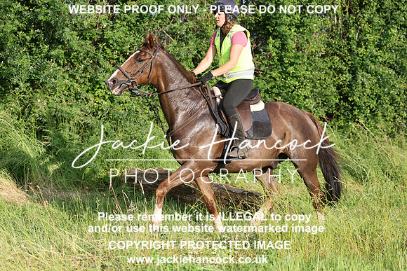 JHP21181