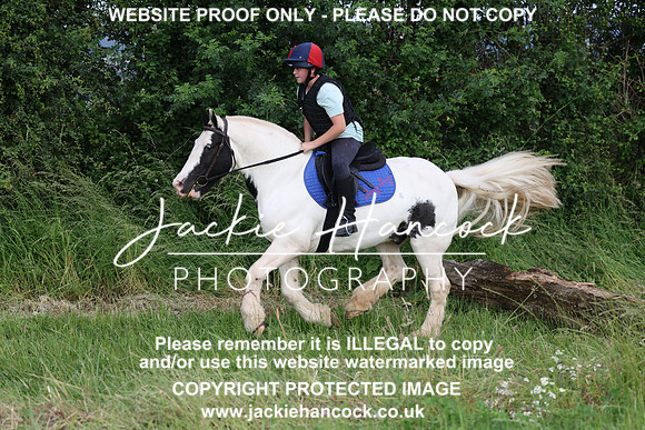 JHP20407