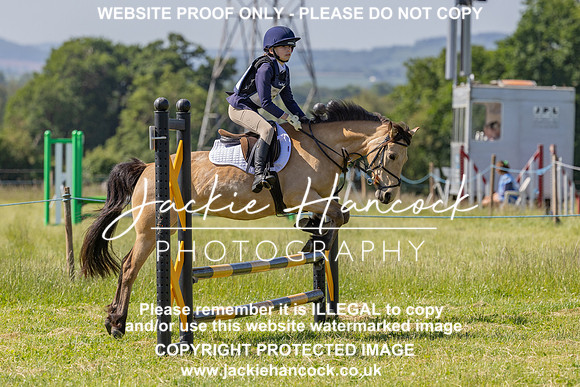JHP20118