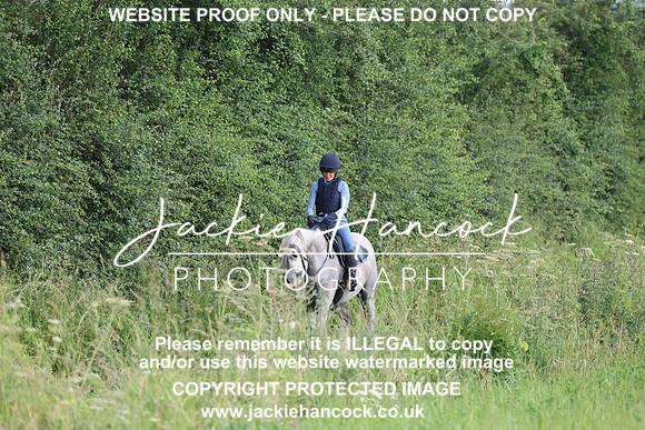JHP21103