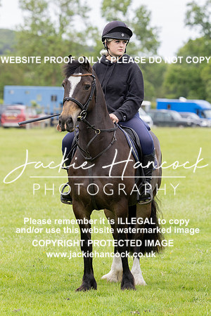 JHP20017-3