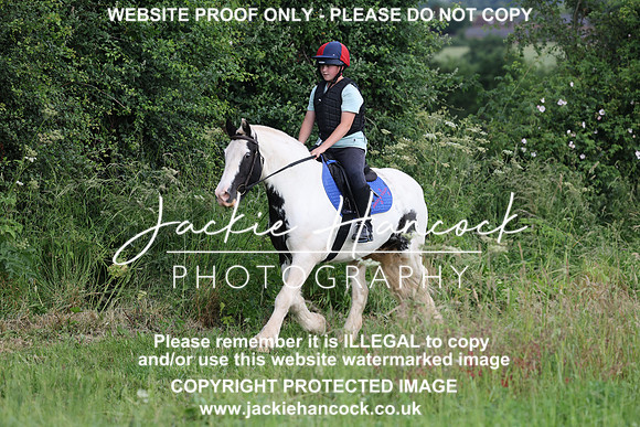 JHP20401