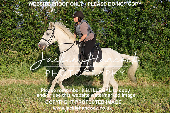 JHP21332