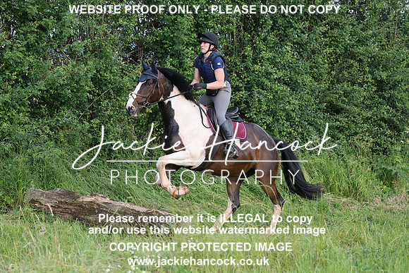 JHP21078