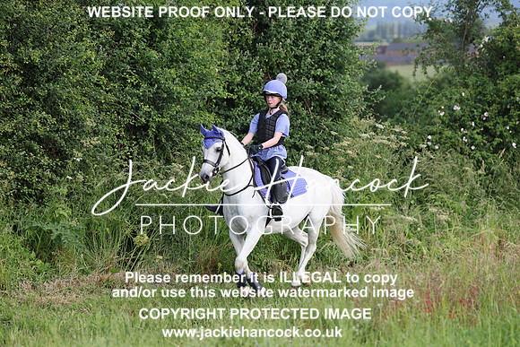 JHP21008
