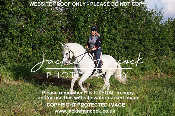 JHP21288