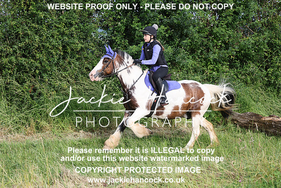 JHP20801