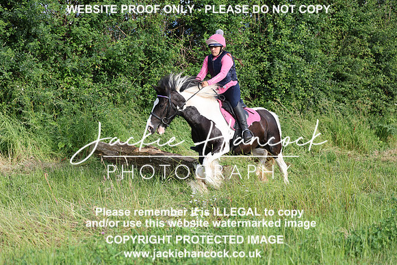 JHP20826
