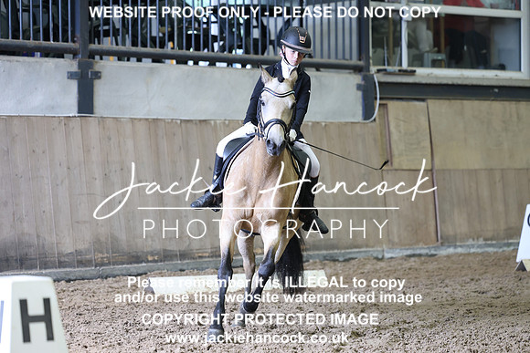 JHP20386
