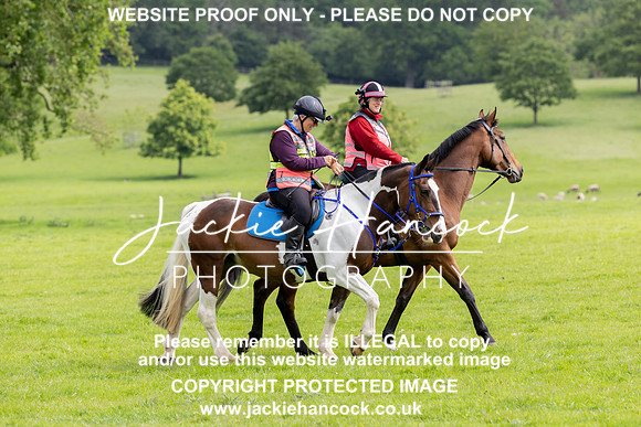 JHP20038