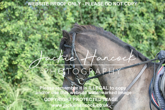 JHP20160