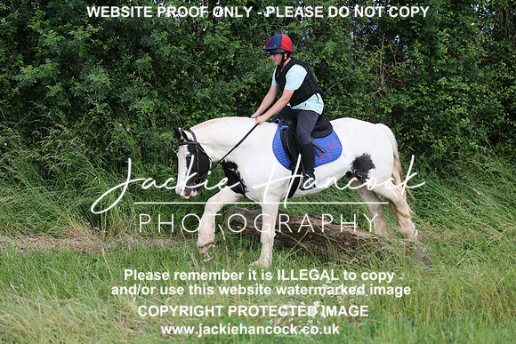 JHP20405
