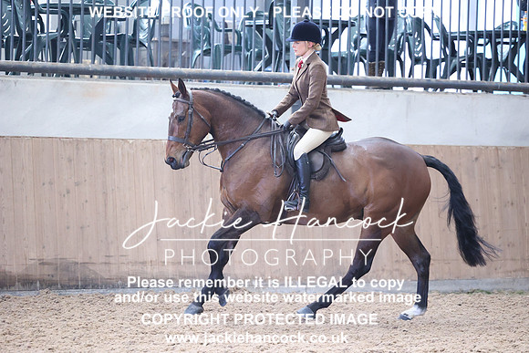 JHP_3850