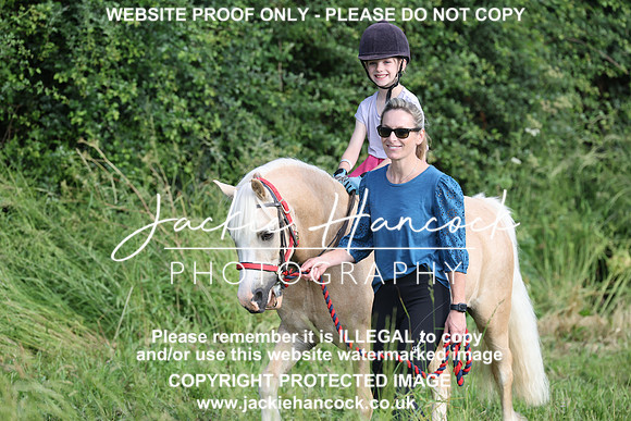 JHP20738