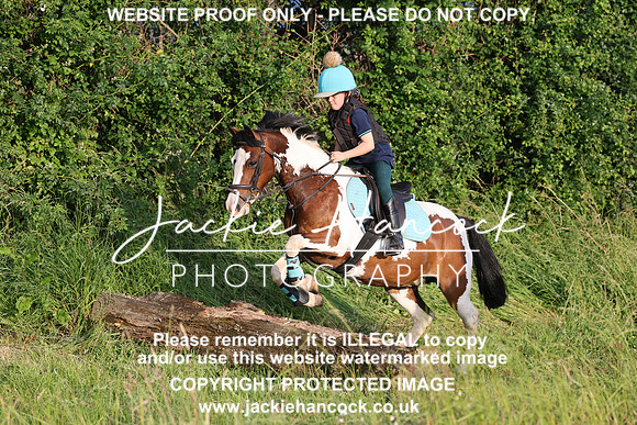 JHP21338