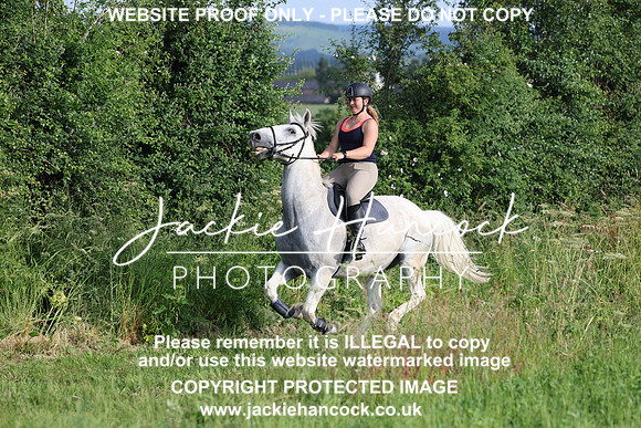 JHP20833