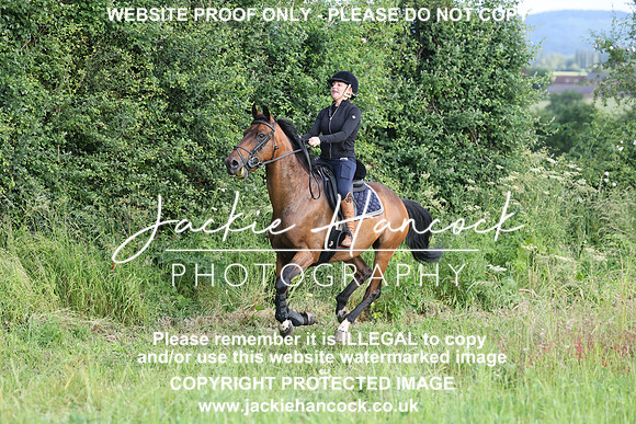 JHP21037