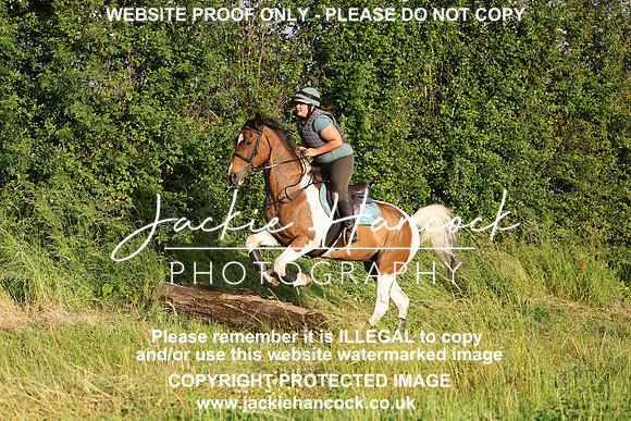 JHP21233