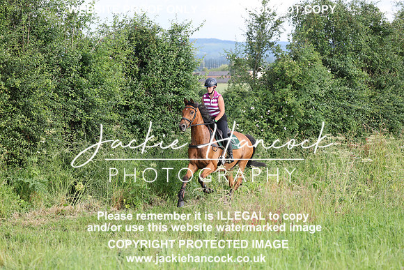JHP21121
