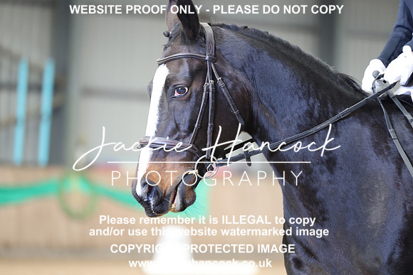 JHP21134