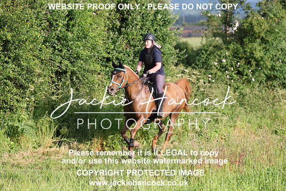 JHP21163