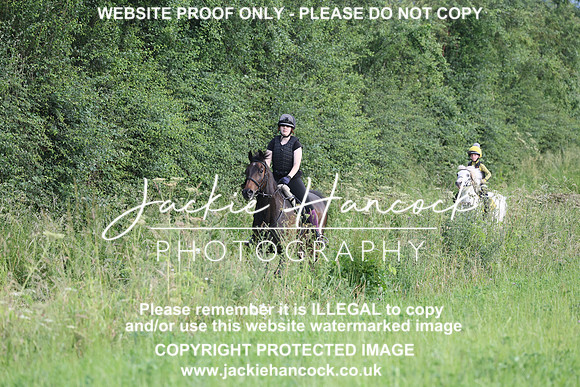 JHP21046