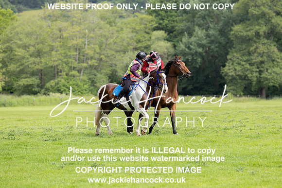 JHP20036