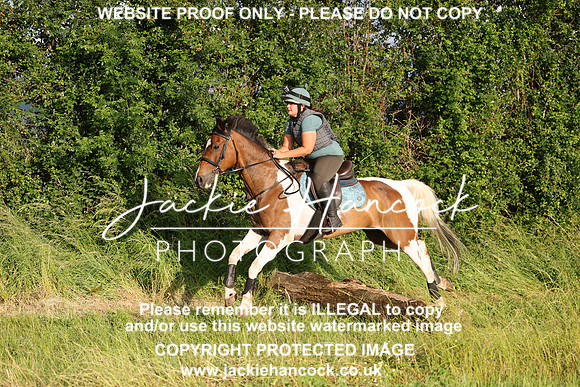 JHP21234