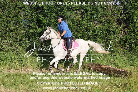 JHP21211