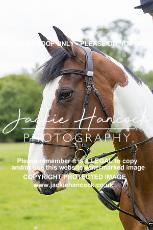 JHP20008