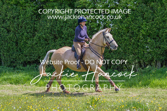 MC-28