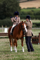 Working Hunter - Ring 4