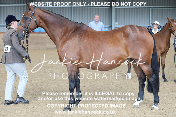 JHP20098