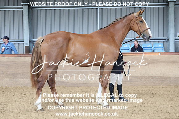 JHP20128